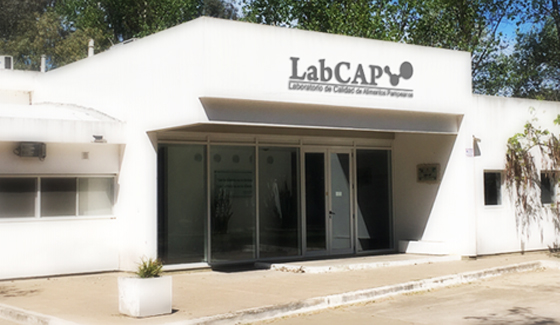 LabCAP - Infraestructura